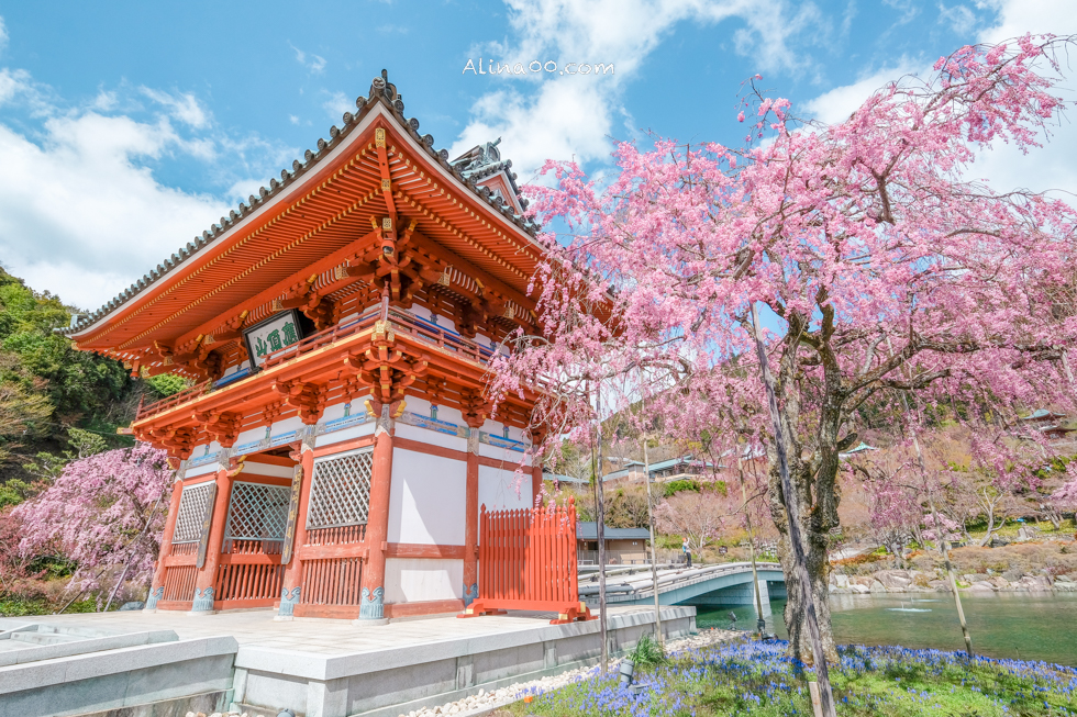 【大阪景點】勝尾寺 達摩不倒翁祈福勝利/公車1班直達交通教學 @Alina 愛琳娜