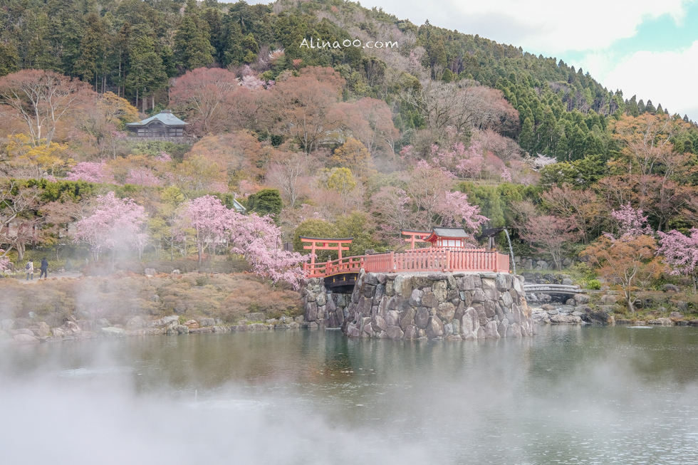 【大阪景點】勝尾寺 達摩不倒翁祈福勝利/公車1班直達交通教學 @Alina 愛琳娜