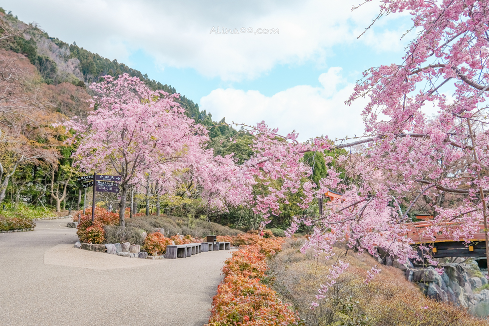 【大阪景點】勝尾寺 達摩不倒翁祈福勝利/公車1班直達交通教學 @Alina 愛琳娜