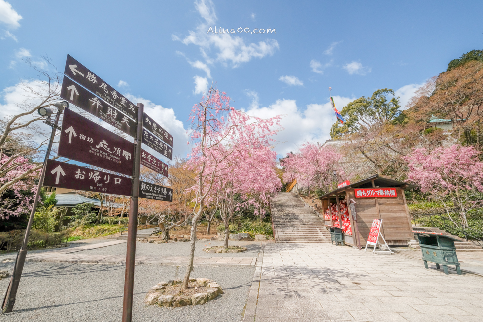 【大阪景點】勝尾寺 達摩不倒翁祈福勝利/公車1班直達交通教學 @Alina 愛琳娜