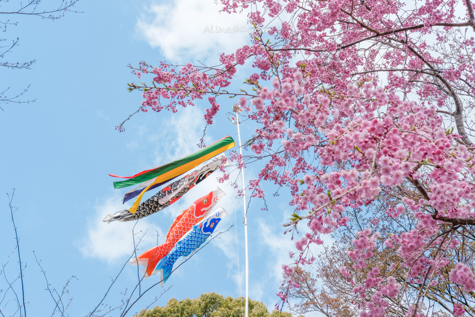 【大阪景點】勝尾寺 達摩不倒翁祈福勝利/公車1班直達交通教學 @Alina 愛琳娜 【大阪景點】勝尾寺 達摩不倒翁祈福勝利/公車1班直達交通教學 @Alina 愛琳娜