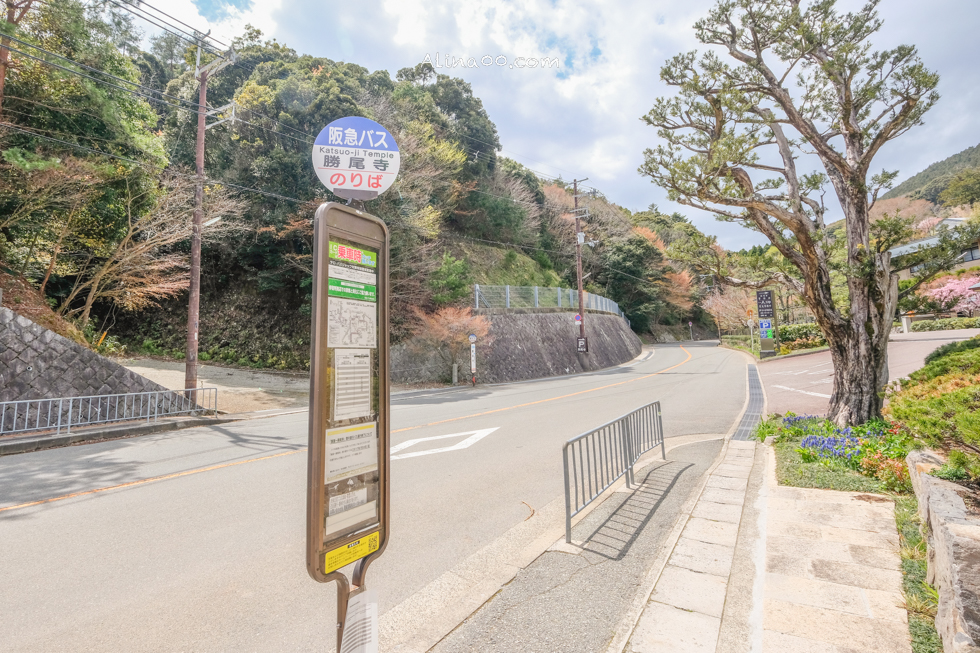 【大阪景點】勝尾寺 達摩不倒翁祈福勝利/公車1班直達交通教學 @Alina 愛琳娜 【大阪景點】勝尾寺 達摩不倒翁祈福勝利/公車1班直達交通教學 @Alina 愛琳娜