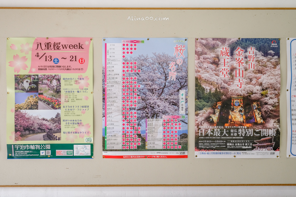 【奈良景點】吉野山-關西賞櫻名所｜千本櫻花樹海世界遺產 @Alina 愛琳娜