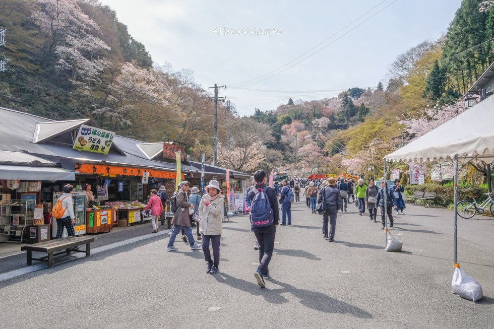 【奈良景點】吉野山-關西賞櫻名所｜千本櫻花樹海世界遺產 @Alina 愛琳娜