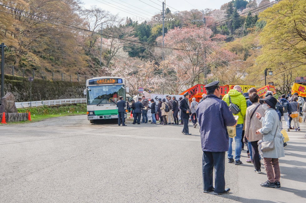 【奈良景點】吉野山-關西賞櫻名所｜千本櫻花樹海世界遺產 @Alina 愛琳娜