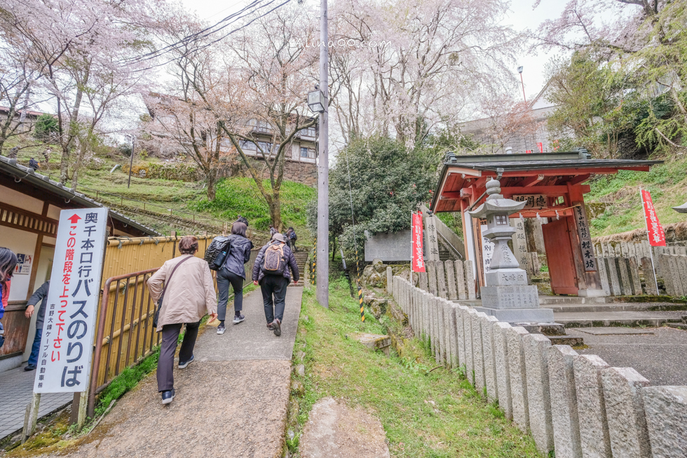 【奈良景點】吉野山-關西賞櫻名所｜千本櫻花樹海世界遺產 @Alina 愛琳娜