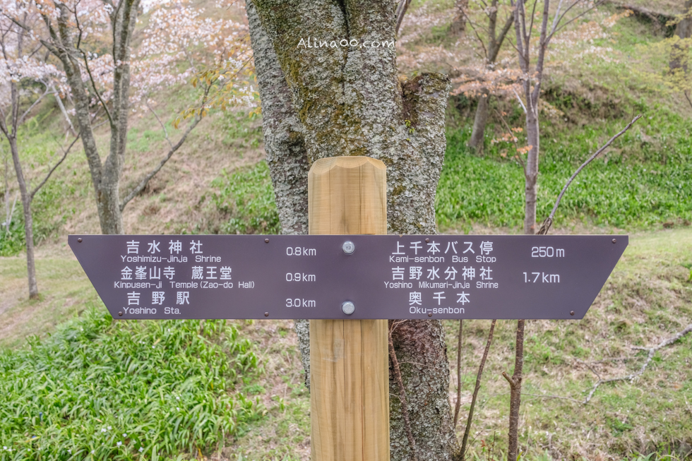 【奈良景點】吉野山-關西賞櫻名所｜千本櫻花樹海世界遺產 @Alina 愛琳娜
