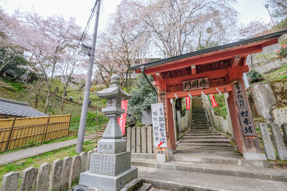 【奈良景點】吉野山-關西賞櫻名所｜千本櫻花樹海世界遺產 @Alina 愛琳娜