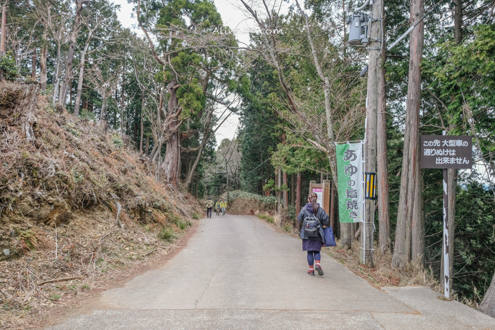 【奈良景點】吉野山-關西賞櫻名所｜千本櫻花樹海世界遺產 @Alina 愛琳娜