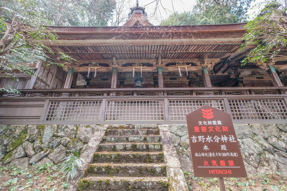 【奈良景點】吉野山-關西賞櫻名所｜千本櫻花樹海世界遺產 @Alina 愛琳娜