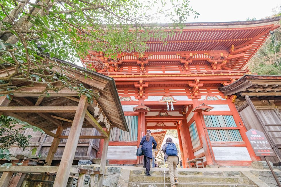 【奈良景點】吉野山-關西賞櫻名所｜千本櫻花樹海世界遺產 @Alina 愛琳娜