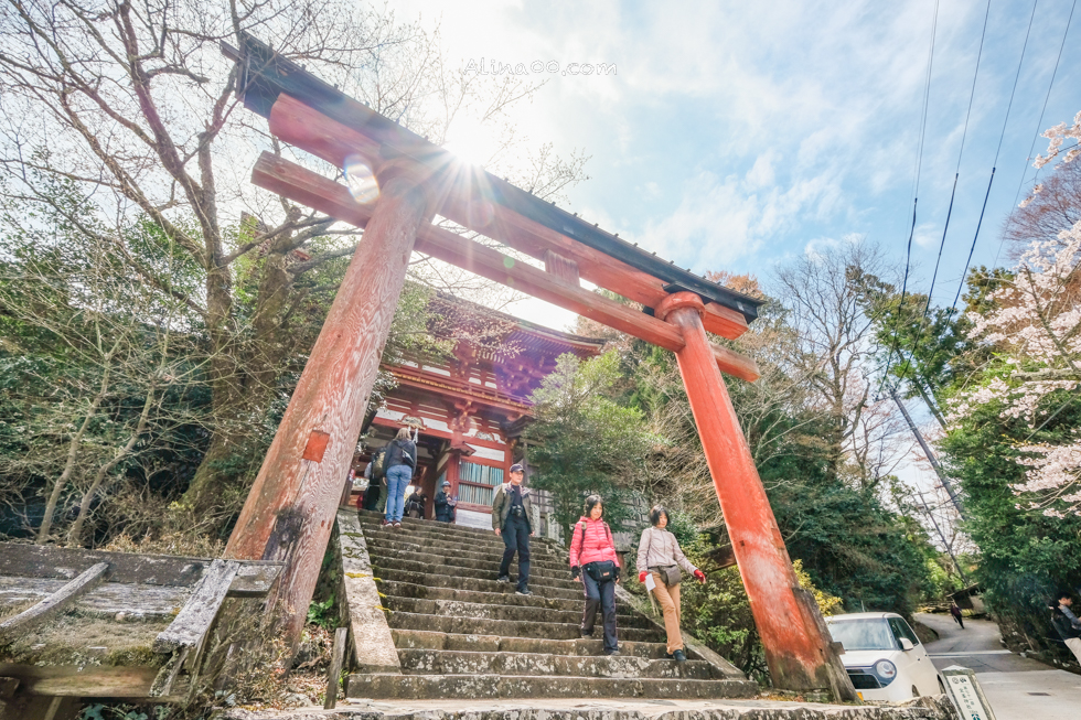 【奈良景點】吉野山-關西賞櫻名所｜千本櫻花樹海世界遺產 @Alina 愛琳娜