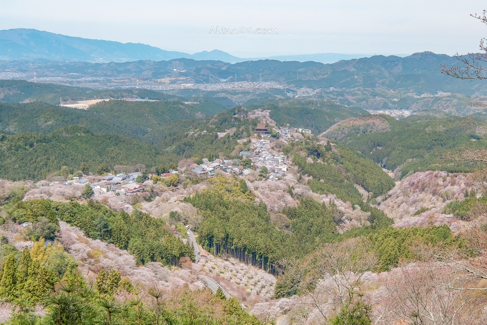 【奈良景點】吉野山-關西賞櫻名所｜千本櫻花樹海世界遺產 @Alina 愛琳娜