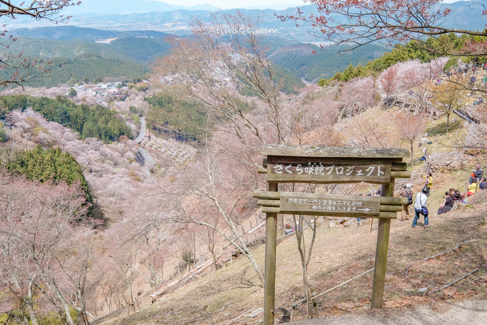 【奈良景點】吉野山-關西賞櫻名所｜千本櫻花樹海世界遺產 @Alina 愛琳娜