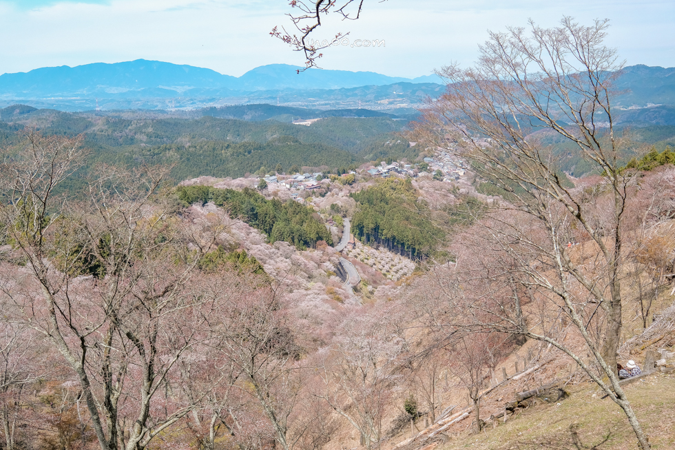 【奈良景點】吉野山-關西賞櫻名所｜千本櫻花樹海世界遺產 @Alina 愛琳娜