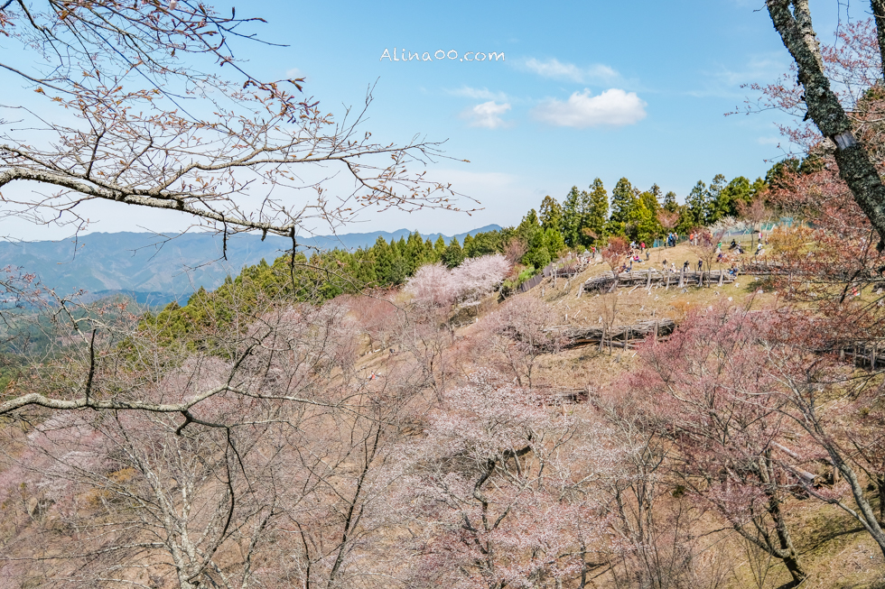 【奈良景點】吉野山-關西賞櫻名所｜千本櫻花樹海世界遺產 @Alina 愛琳娜