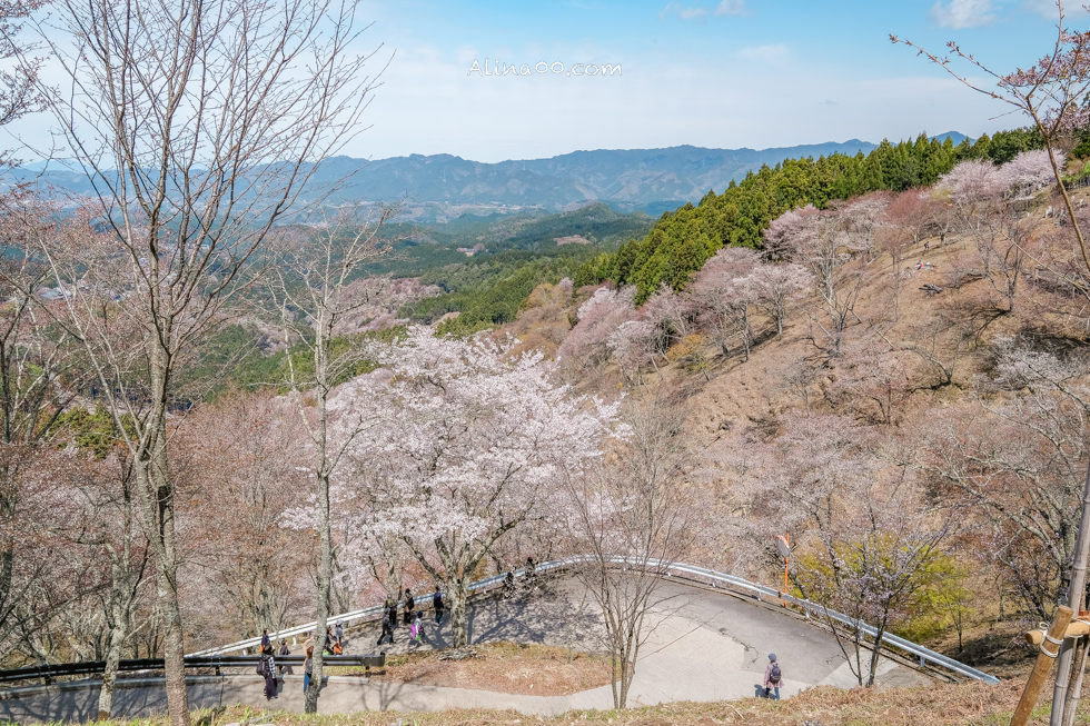 【奈良景點】吉野山-關西賞櫻名所｜千本櫻花樹海世界遺產 @Alina 愛琳娜