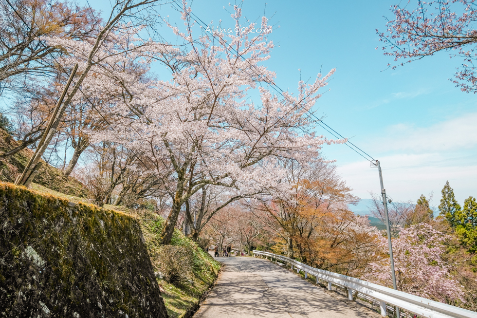【奈良景點】吉野山-關西賞櫻名所｜千本櫻花樹海世界遺產 @Alina 愛琳娜