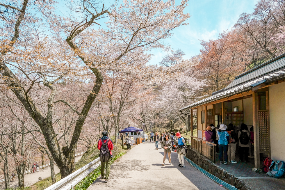 【奈良景點】吉野山-關西賞櫻名所｜千本櫻花樹海世界遺產 @Alina 愛琳娜