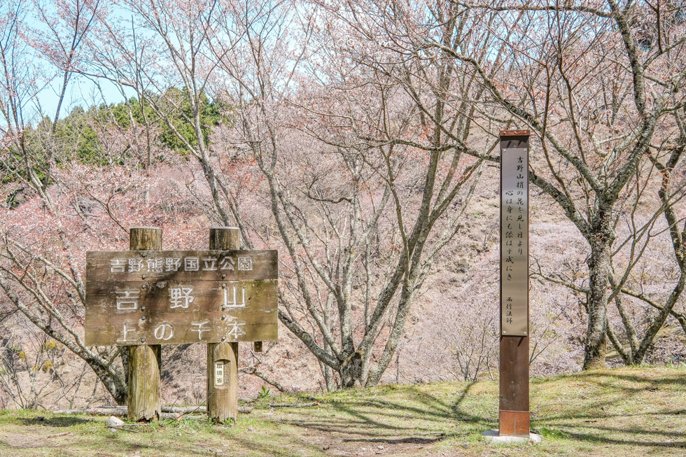 【奈良景點】吉野山-關西賞櫻名所｜千本櫻花樹海世界遺產 @Alina 愛琳娜