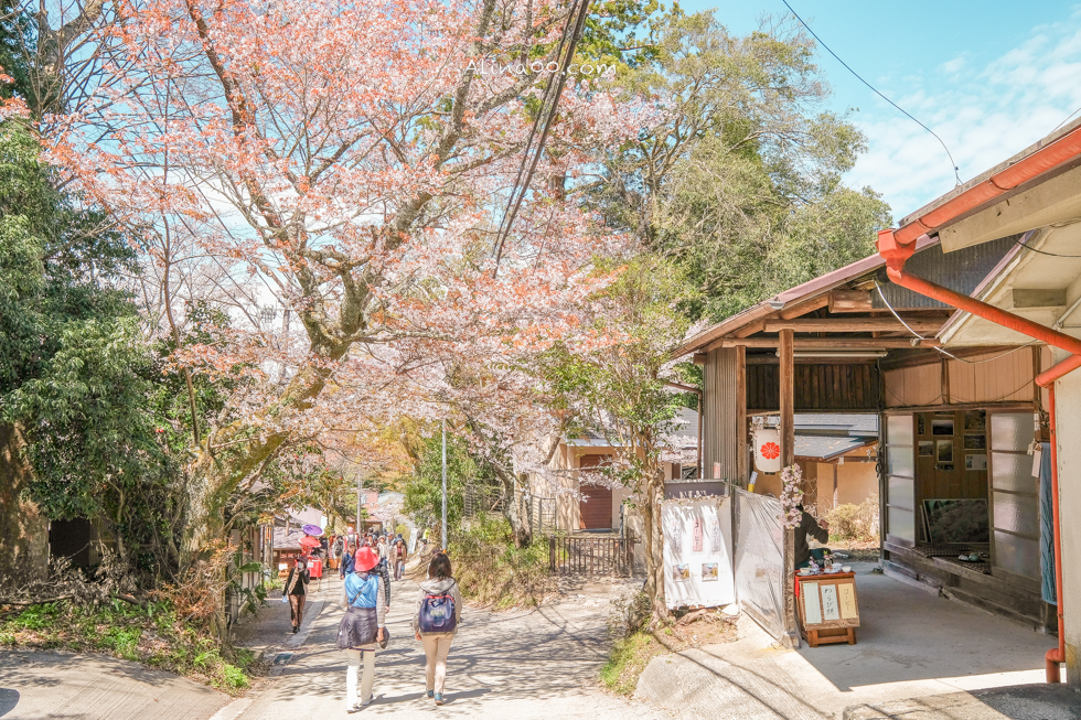 【奈良景點】吉野山-關西賞櫻名所｜千本櫻花樹海世界遺產 @Alina 愛琳娜