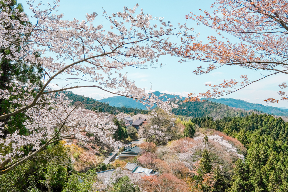 【奈良景點】吉野山-關西賞櫻名所｜千本櫻花樹海世界遺產 @Alina 愛琳娜