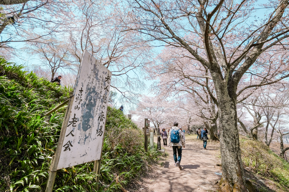 【奈良景點】吉野山-關西賞櫻名所｜千本櫻花樹海世界遺產 @Alina 愛琳娜