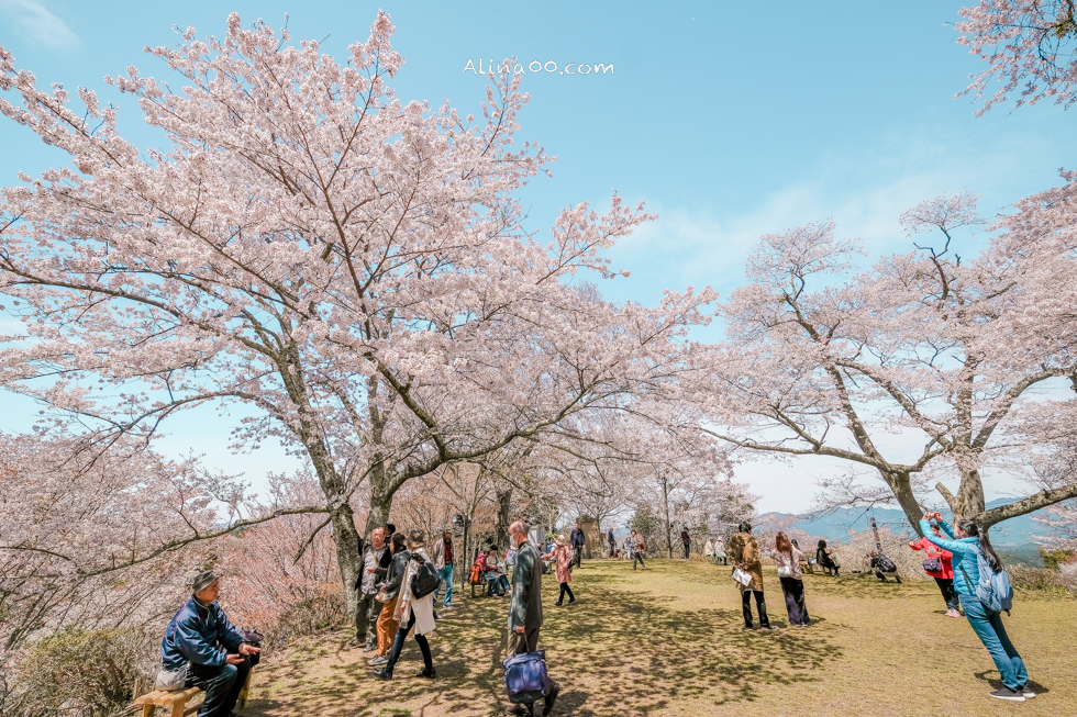 【奈良景點】吉野山-關西賞櫻名所｜千本櫻花樹海世界遺產 @Alina 愛琳娜