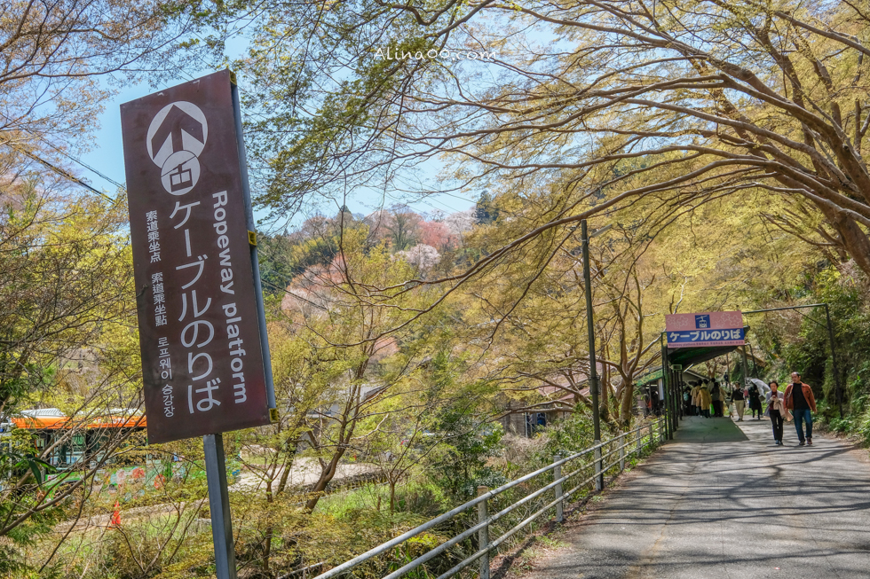 【奈良景點】吉野山-關西賞櫻名所｜千本櫻花樹海世界遺產 @Alina 愛琳娜