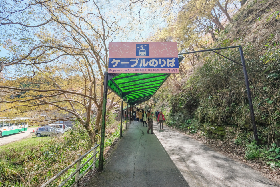 【奈良景點】吉野山-關西賞櫻名所｜千本櫻花樹海世界遺產 @Alina 愛琳娜