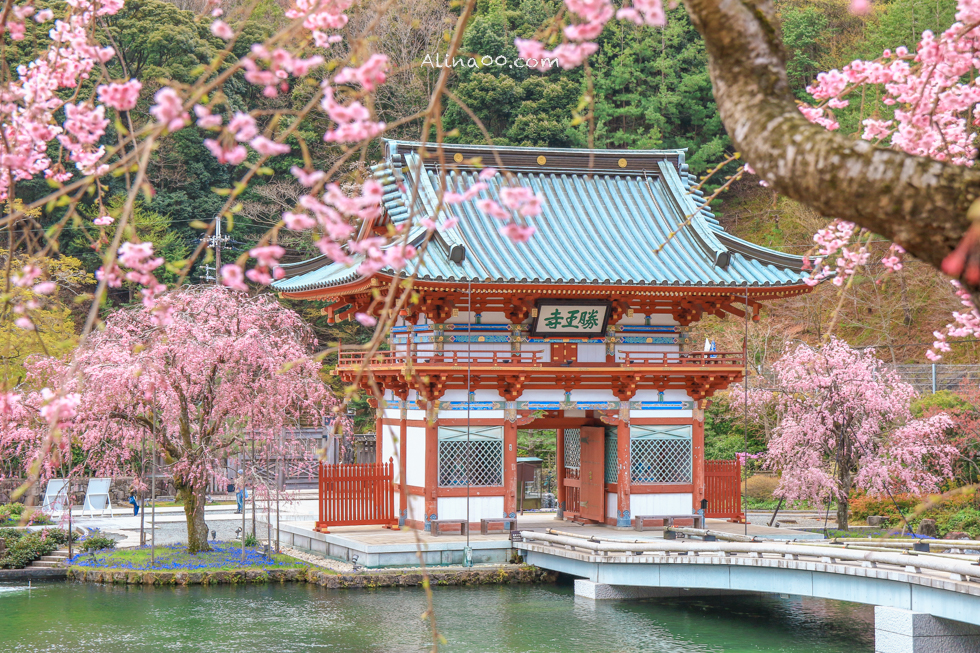 【大阪景點】勝尾寺 達摩不倒翁祈福勝利/公車1班直達交通教學 @Alina 愛琳娜 【大阪景點】勝尾寺 達摩不倒翁祈福勝利/公車1班直達交通教學 @Alina 愛琳娜