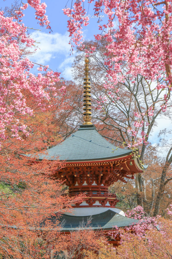 【大阪景點】勝尾寺 達摩不倒翁祈福勝利/公車1班直達交通教學 @Alina 愛琳娜 【大阪景點】勝尾寺 達摩不倒翁祈福勝利/公車1班直達交通教學 @Alina 愛琳娜