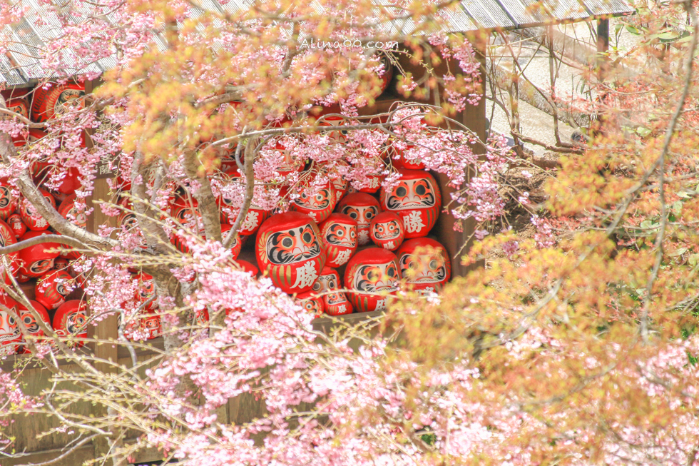 【大阪景點】勝尾寺 達摩不倒翁祈福勝利/公車1班直達交通教學 @Alina 愛琳娜 【大阪景點】勝尾寺 達摩不倒翁祈福勝利/公車1班直達交通教學 @Alina 愛琳娜