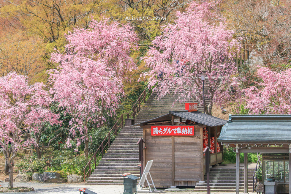 【大阪景點】勝尾寺 達摩不倒翁祈福勝利/公車1班直達交通教學 @Alina 愛琳娜 【大阪景點】勝尾寺 達摩不倒翁祈福勝利/公車1班直達交通教學 @Alina 愛琳娜