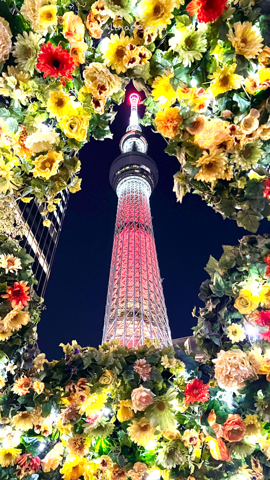 【日本上網】DJB 日本上網卡 |吃到飽不降速,無卡eSIM更方便 @Alina 愛琳娜 【日本上網】DJB 日本上網卡 |吃到飽不降速,無卡eSIM更方便 @Alina 愛琳娜