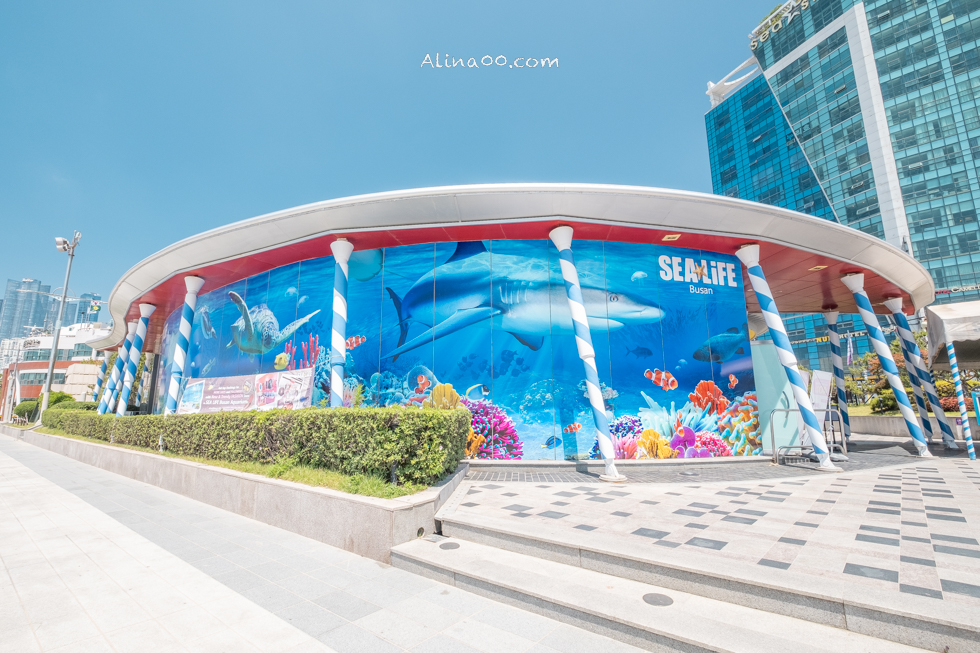【釜山景點】SEA LIFE 釜山水族館｜海雲台旁的室內海底世界 @Alina 愛琳娜