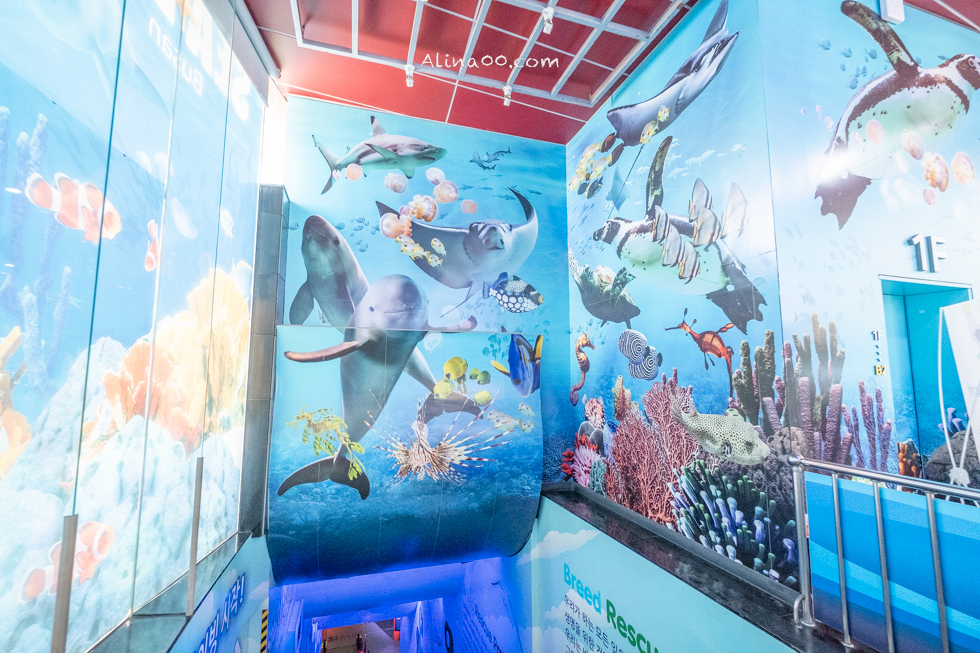 【釜山景點】SEA LIFE 釜山水族館｜海雲台旁的室內海底世界 @Alina 愛琳娜