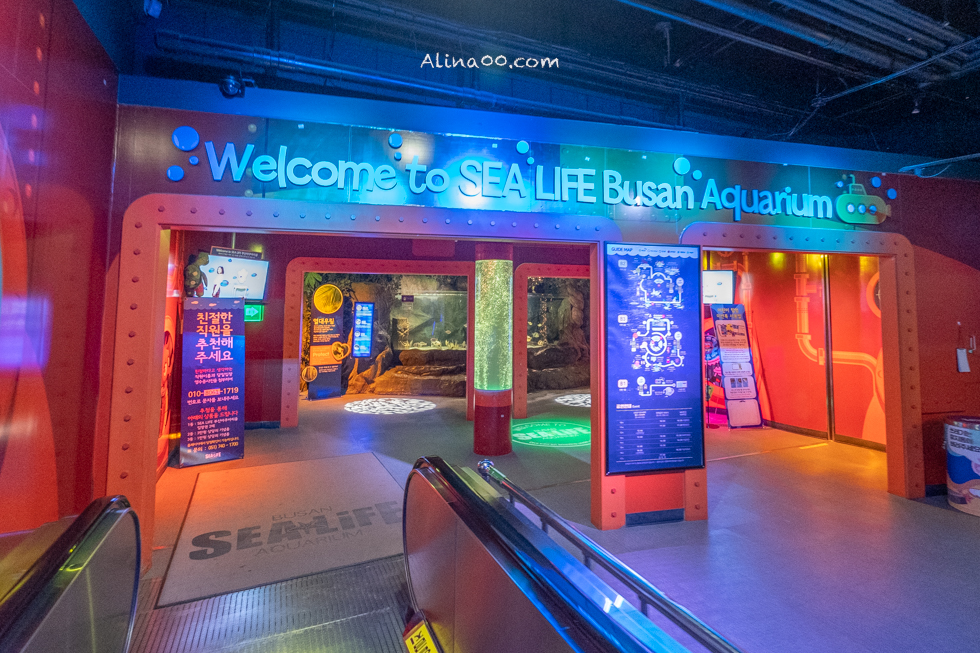 【釜山景點】SEA LIFE 釜山水族館｜海雲台旁的室內海底世界 @Alina 愛琳娜