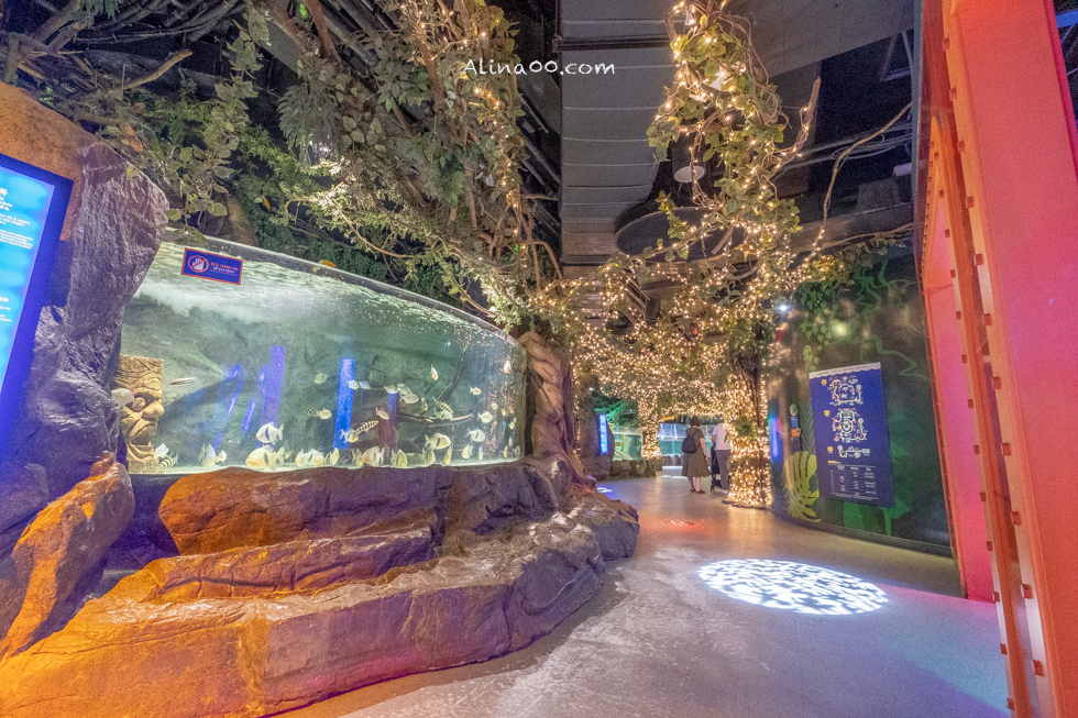 【釜山景點】SEA LIFE 釜山水族館｜海雲台旁的室內海底世界 @Alina 愛琳娜