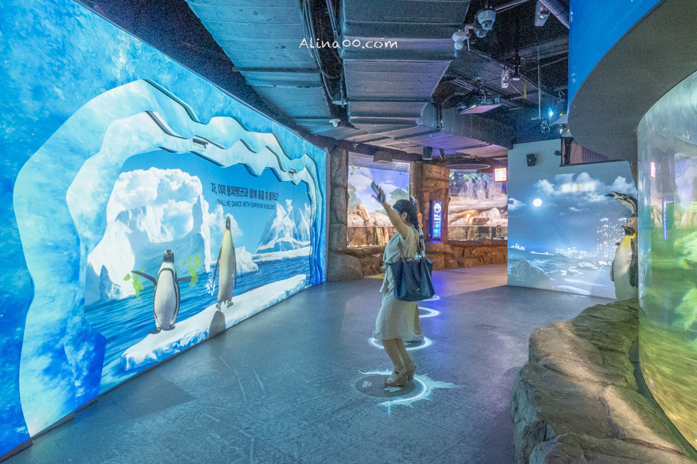 【釜山景點】SEA LIFE 釜山水族館｜海雲台旁的室內海底世界 @Alina 愛琳娜
