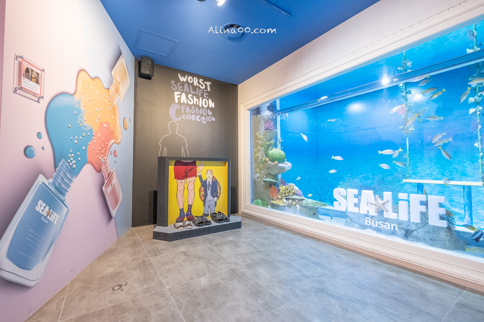 【釜山景點】SEA LIFE 釜山水族館｜海雲台旁的室內海底世界 @Alina 愛琳娜