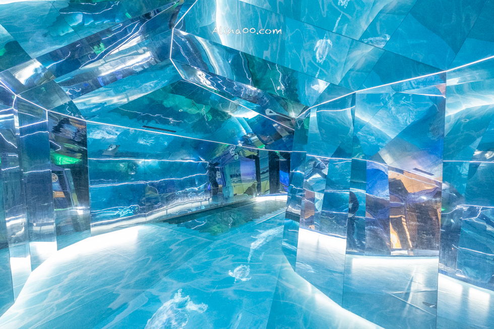 【釜山景點】SEA LIFE 釜山水族館｜海雲台旁的室內海底世界 @Alina 愛琳娜
