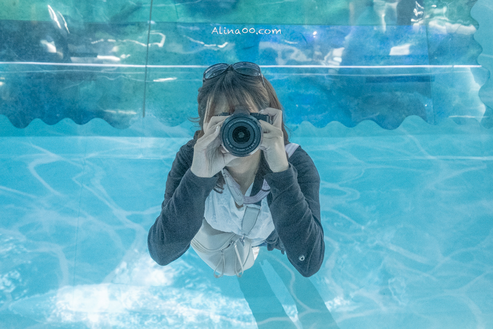 【釜山景點】SEA LIFE 釜山水族館｜海雲台旁的室內海底世界 @Alina 愛琳娜