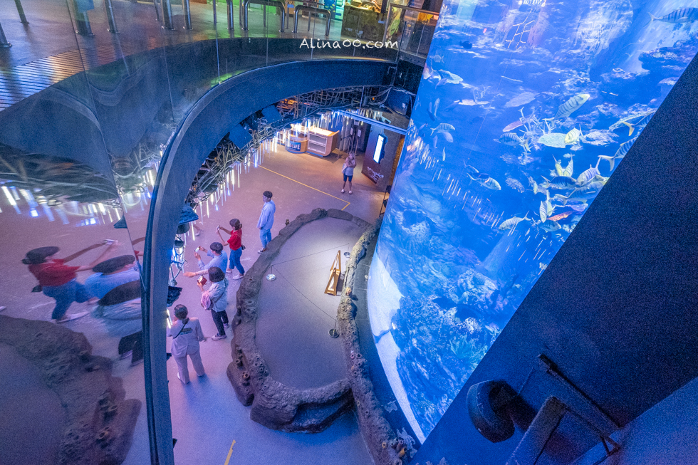 【釜山景點】SEA LIFE 釜山水族館｜海雲台旁的室內海底世界 @Alina 愛琳娜