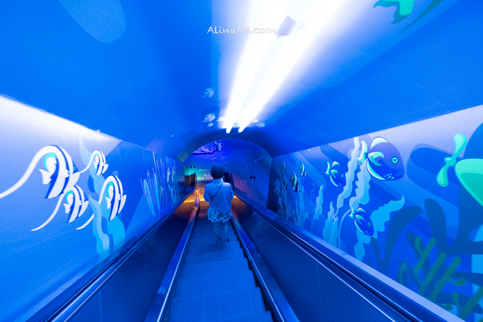 【釜山景點】SEA LIFE 釜山水族館｜海雲台旁的室內海底世界 @Alina 愛琳娜