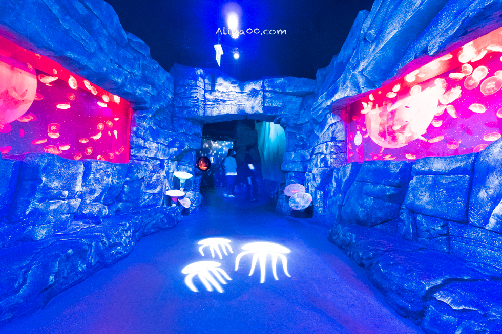 【釜山景點】SEA LIFE 釜山水族館｜海雲台旁的室內海底世界 @Alina 愛琳娜