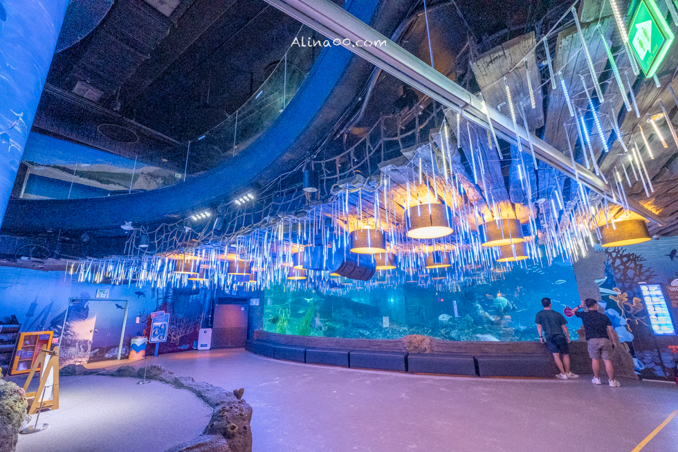 【釜山景點】SEA LIFE 釜山水族館｜海雲台旁的室內海底世界 @Alina 愛琳娜