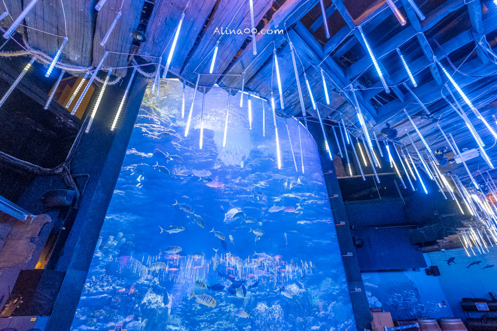 【釜山景點】SEA LIFE 釜山水族館｜海雲台旁的室內海底世界 @Alina 愛琳娜