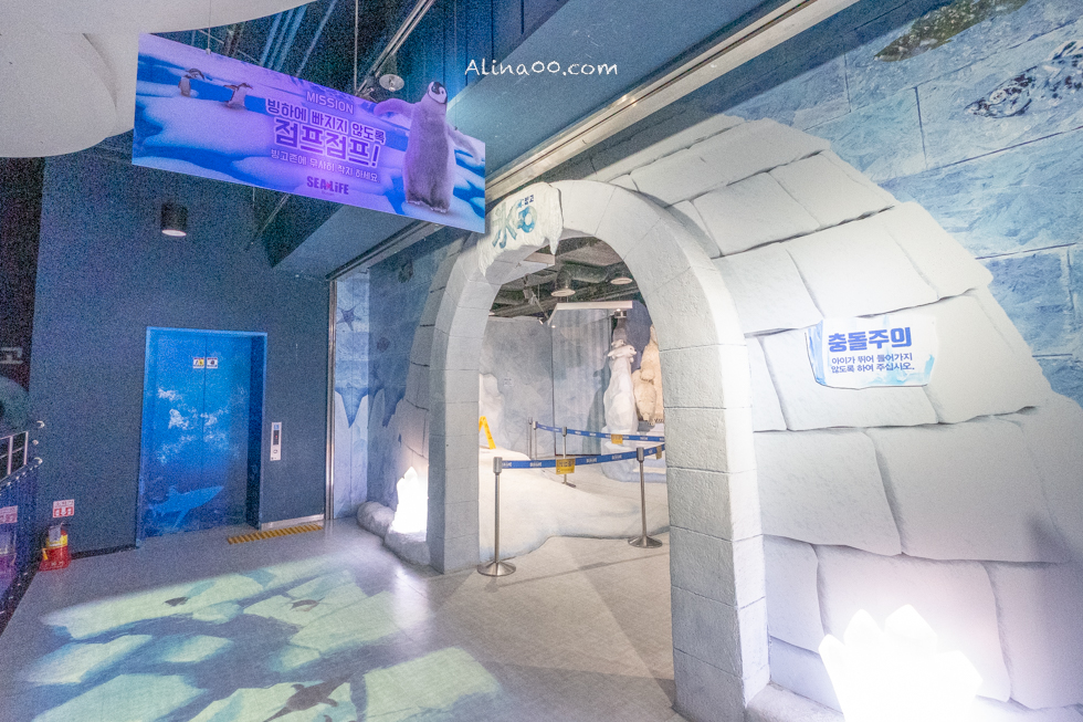 【釜山景點】SEA LIFE 釜山水族館｜海雲台旁的室內海底世界 @Alina 愛琳娜