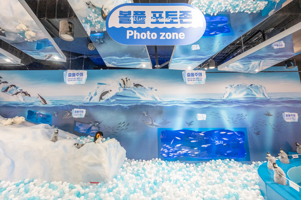 【釜山景點】SEA LIFE 釜山水族館｜海雲台旁的室內海底世界 @Alina 愛琳娜